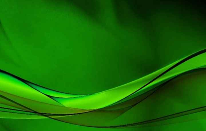 ¿Cuál es tu color favorito? 🌈 - 1