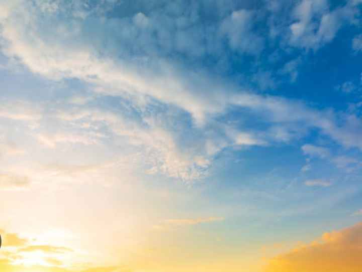 La boda: ¿de mañana, tarde o noche? 🌞 - 1