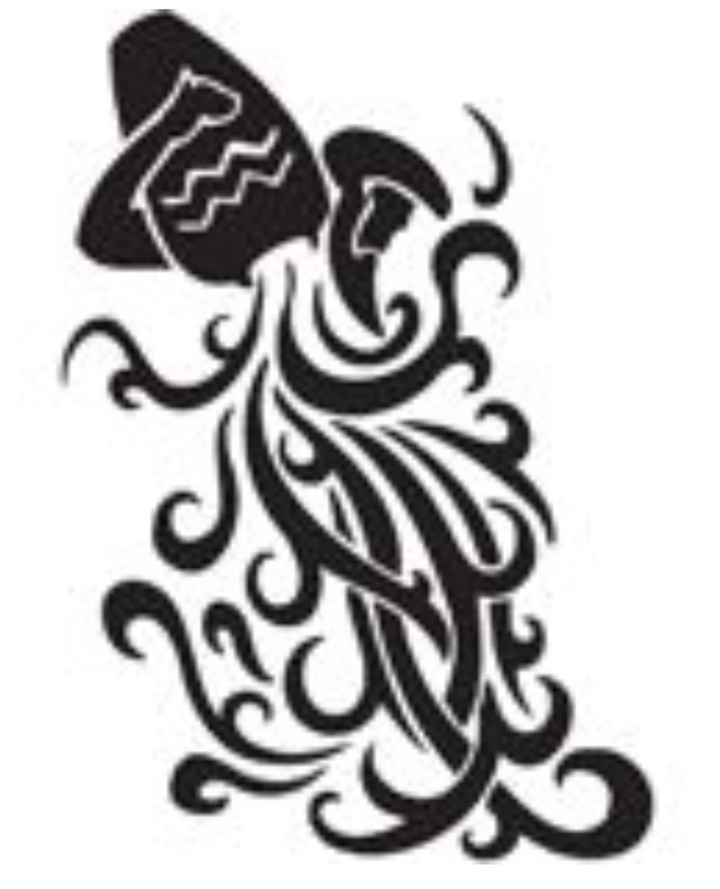 ¿Compartís el mismo signo del zodiaco? - 2
