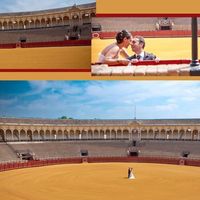 Donde os hareis el postboda las parejas de sevilla? - 1