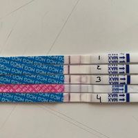 test Ovulación positivos todos los Días? - 1
