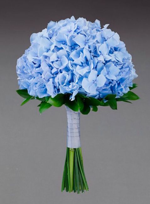 Ayuda!! elegir ramo novia azul - 1
