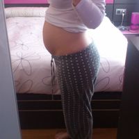 22 semanas