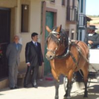 mi boda