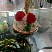 Regalo para las madres - 2