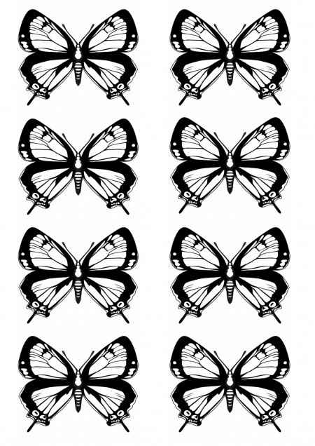 plantilla de mariposas