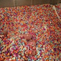 ¿Arroz de colores? - 1