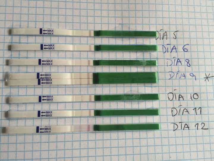 test ovulacion