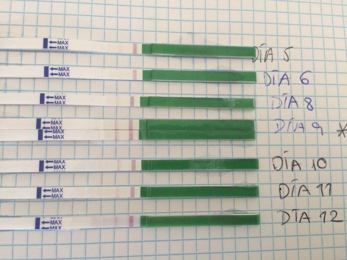 test ovulacion con omifin