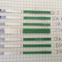 test ovulacion con omifin