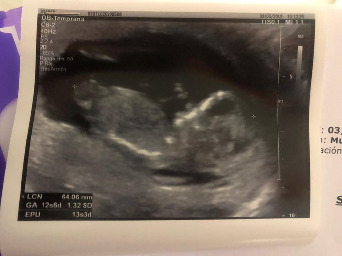 mamis noviembre 2019 oficial - 1