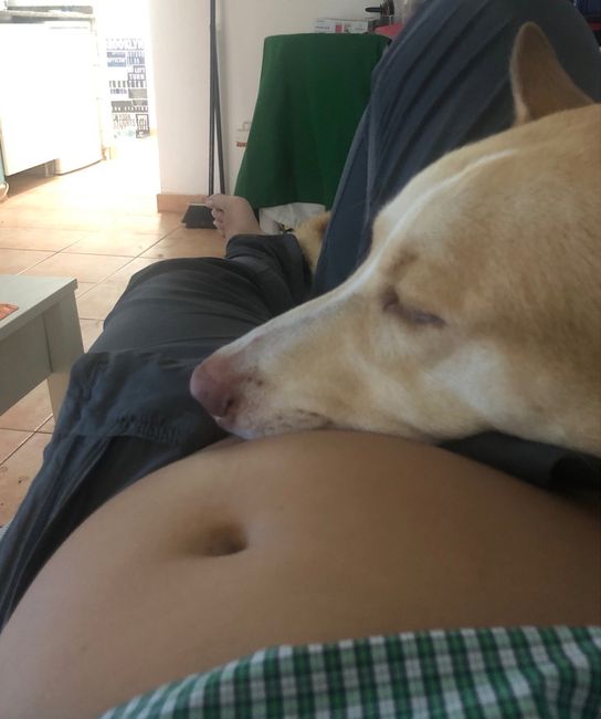 mamis noviembre 2019 oficial - 1