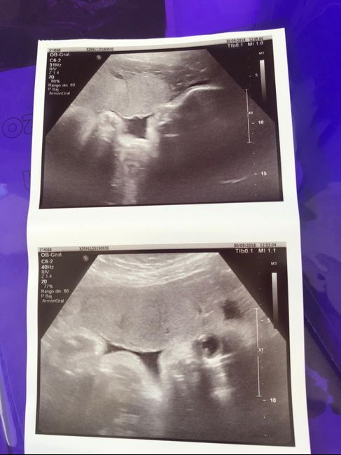 mamis noviembre 2019 oficial - 1