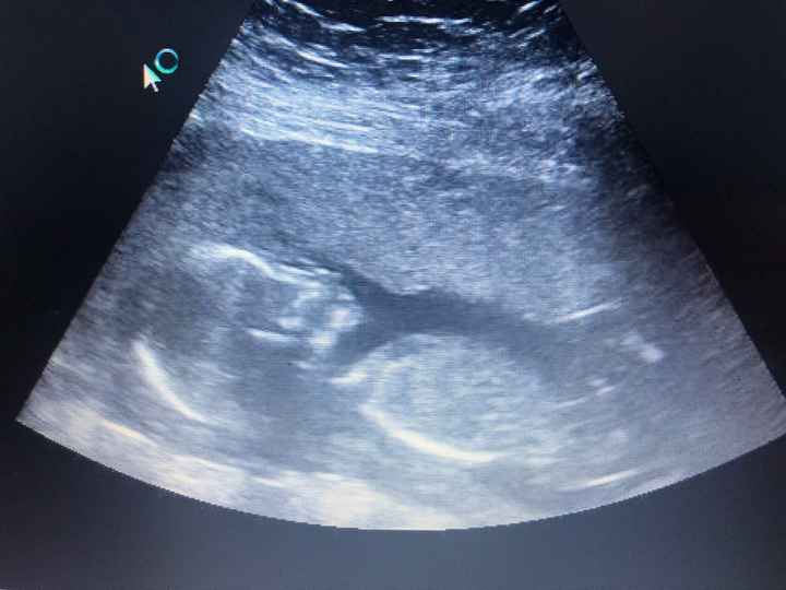 mamis noviembre 2019 oficial - 1