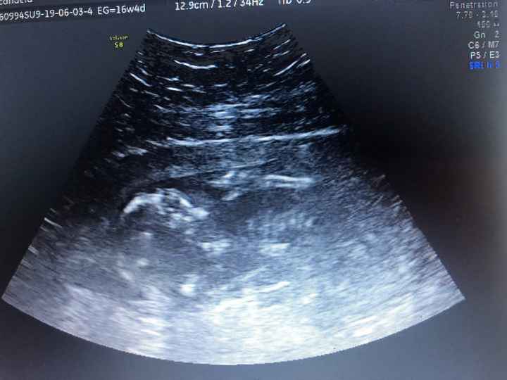 mamis noviembre 2019 oficial - 2