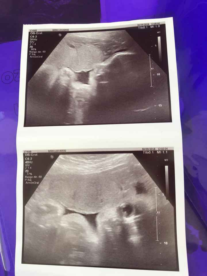 mamis noviembre 2019 oficial - 1