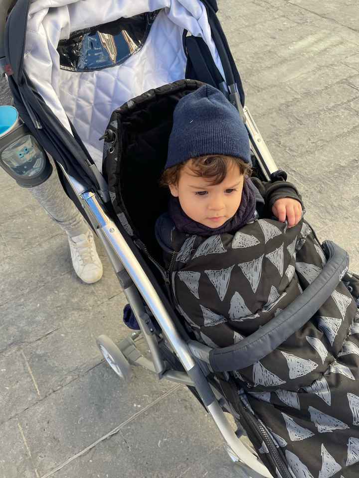 mamis noviembre 2019 oficial - 2