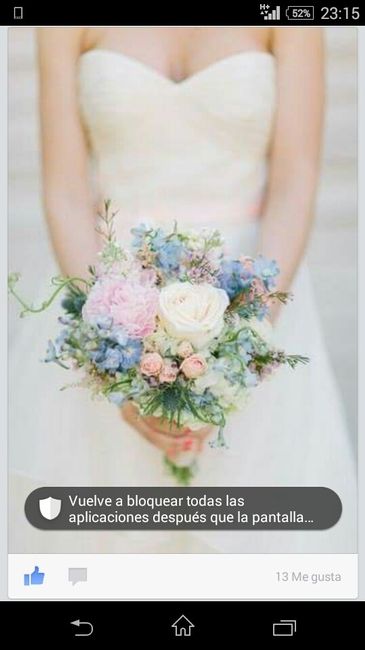 Que os parece mi ramo? - 1
