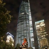 New York, una gran elección!!! - 8