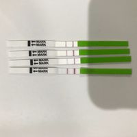 Buscadoras Enero 2020 - 1