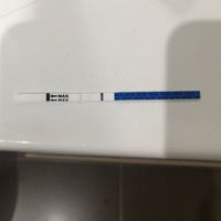 Buscadoras Enero 2020 - 1