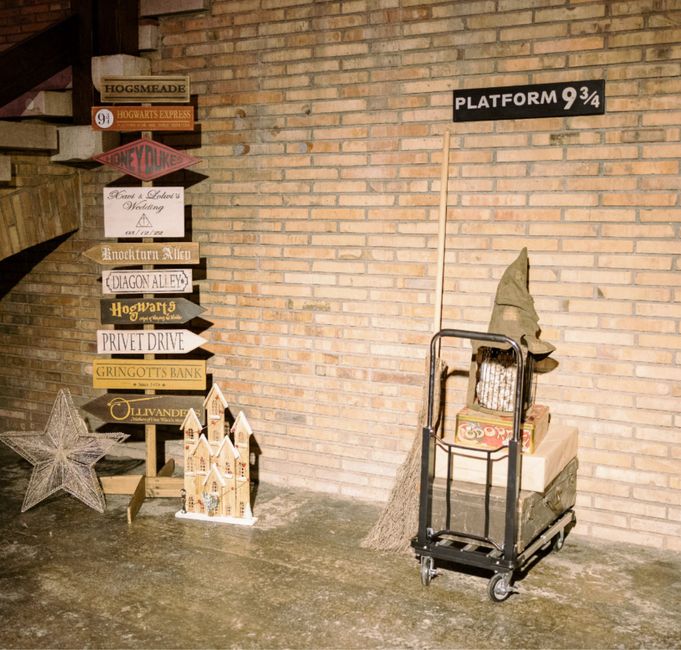 Bodas temáticas - 5