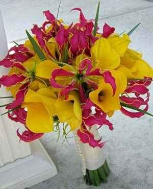 flores
