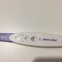 Buscadoras de sueños y milagros: IA, FIV, ICSI (Reproducción Asistida) - 1