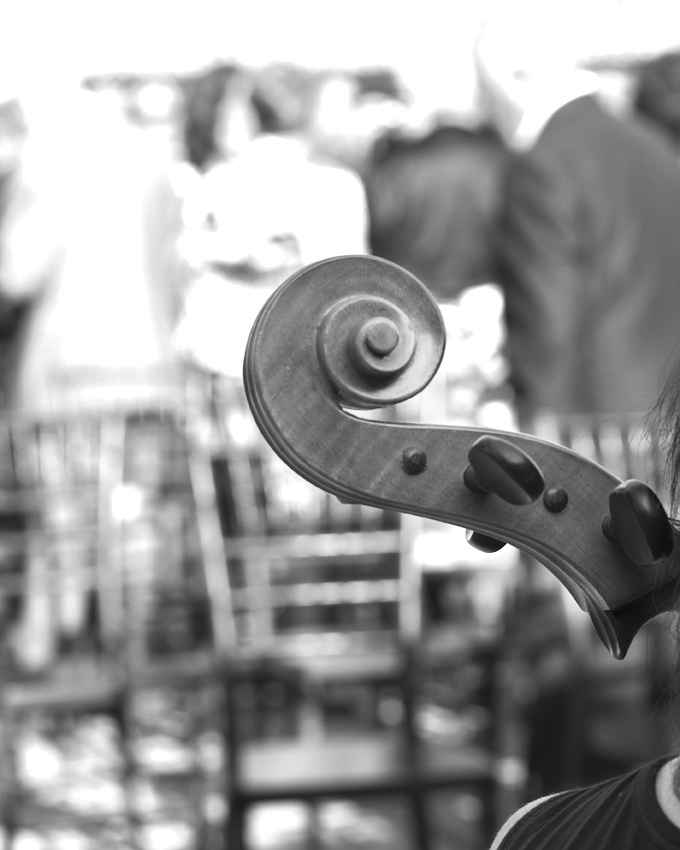 fotos musicos