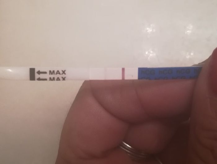 TE 13 dpo