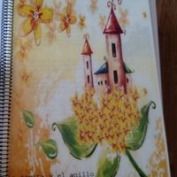 Mi libro