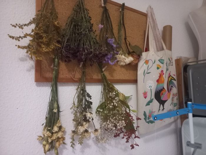 Preservar flores parte 2 1