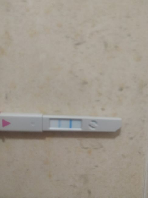 Proceso tratamiento fiv - 1