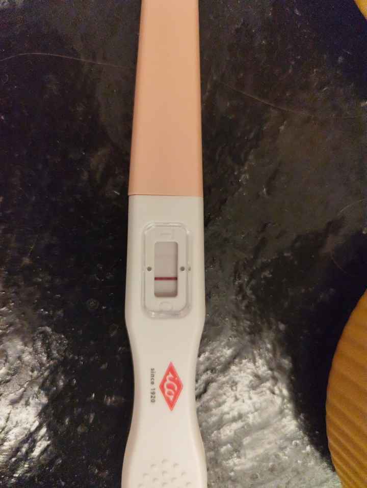 Mamás de Julio 🤰☀️💗 - 1
