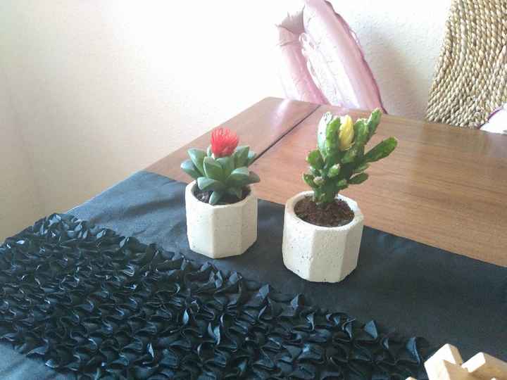 Macetas de cemento y mini cactus - 3