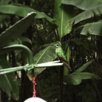 Costa rica y cuba - 2