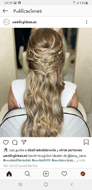 Ideas para semirecogidos 11