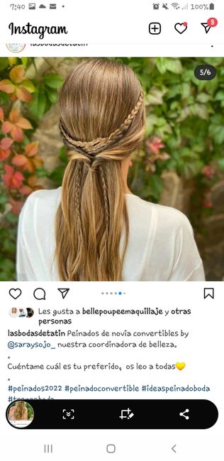 Peinado 34