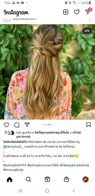 Peinado 36