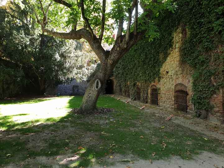 Alguien sabe como son las bodas en el ayuntamiento de la granja de San Ildefonso?? - 1