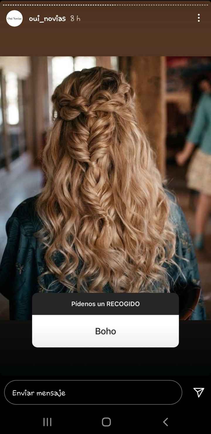 Peinado - 18