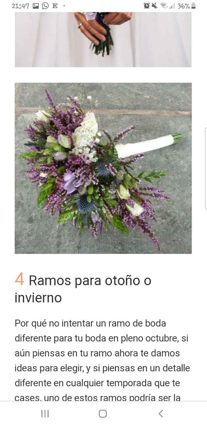 Dudas ramo! Sos! - 4