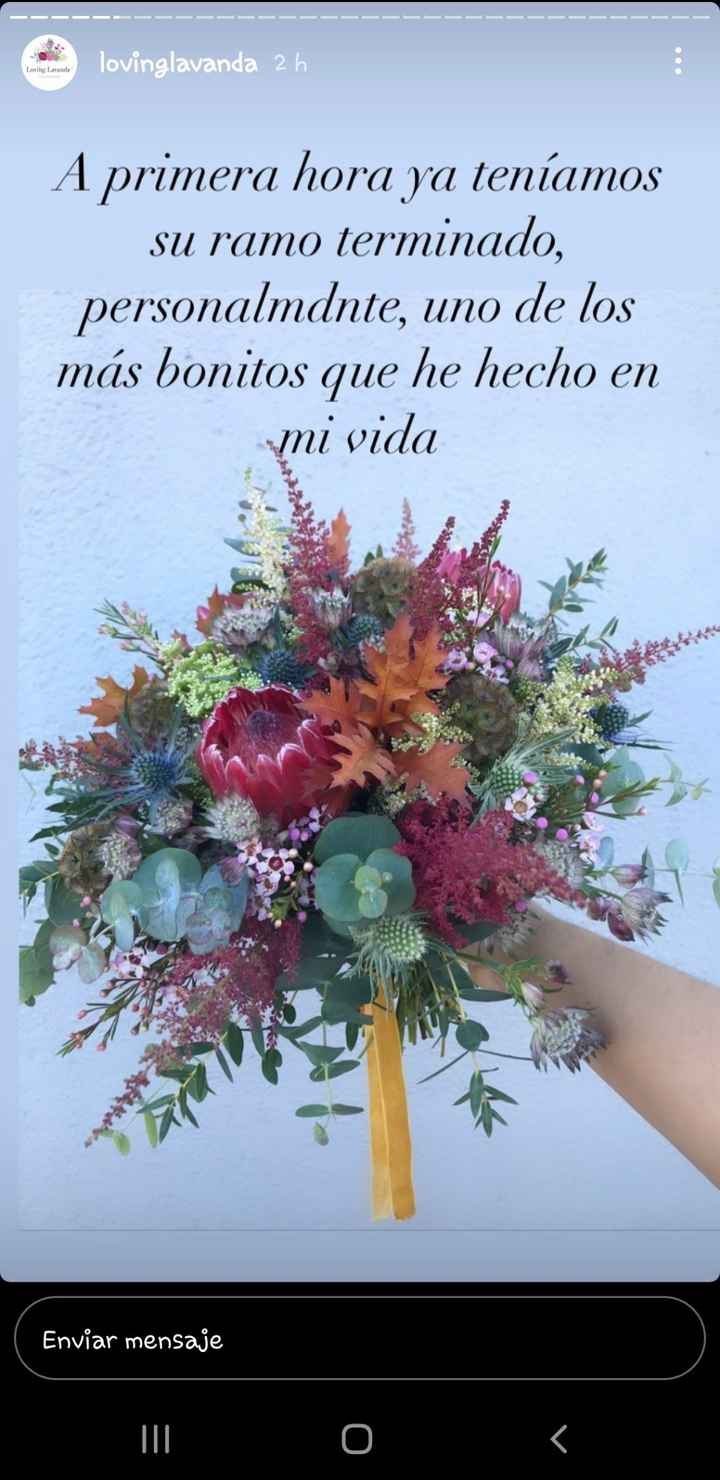 Dudas ramo! Sos! - 17