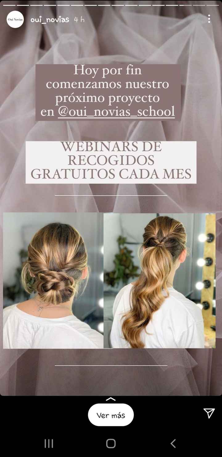 Ideas y fotos de recogidos bajos... ¿algun consejo? - 2