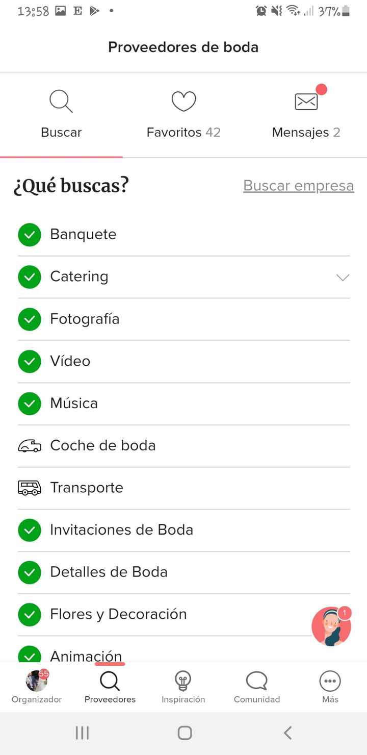 Novias de Cantabria - 2