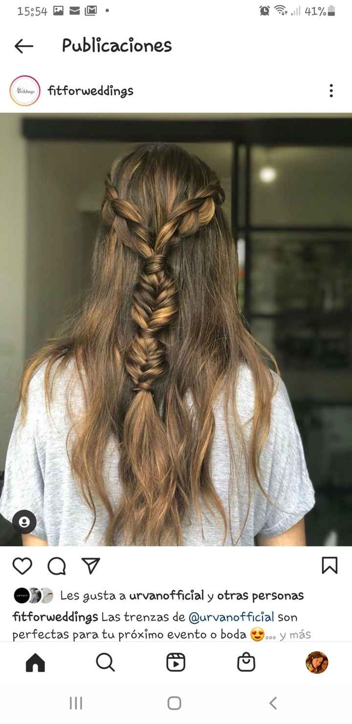 Pelo semirecogido o suelto - 14