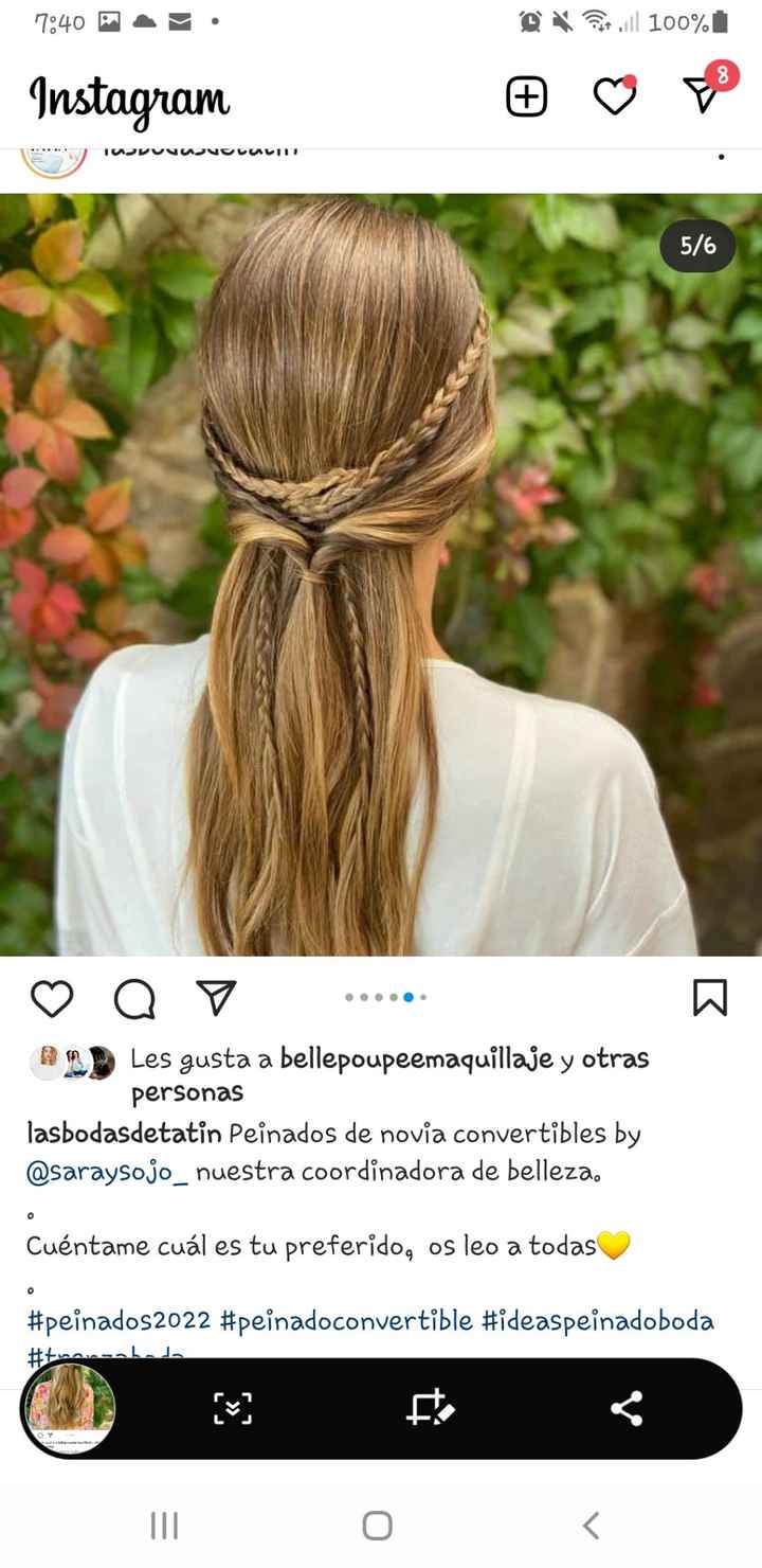 Peinado - 4
