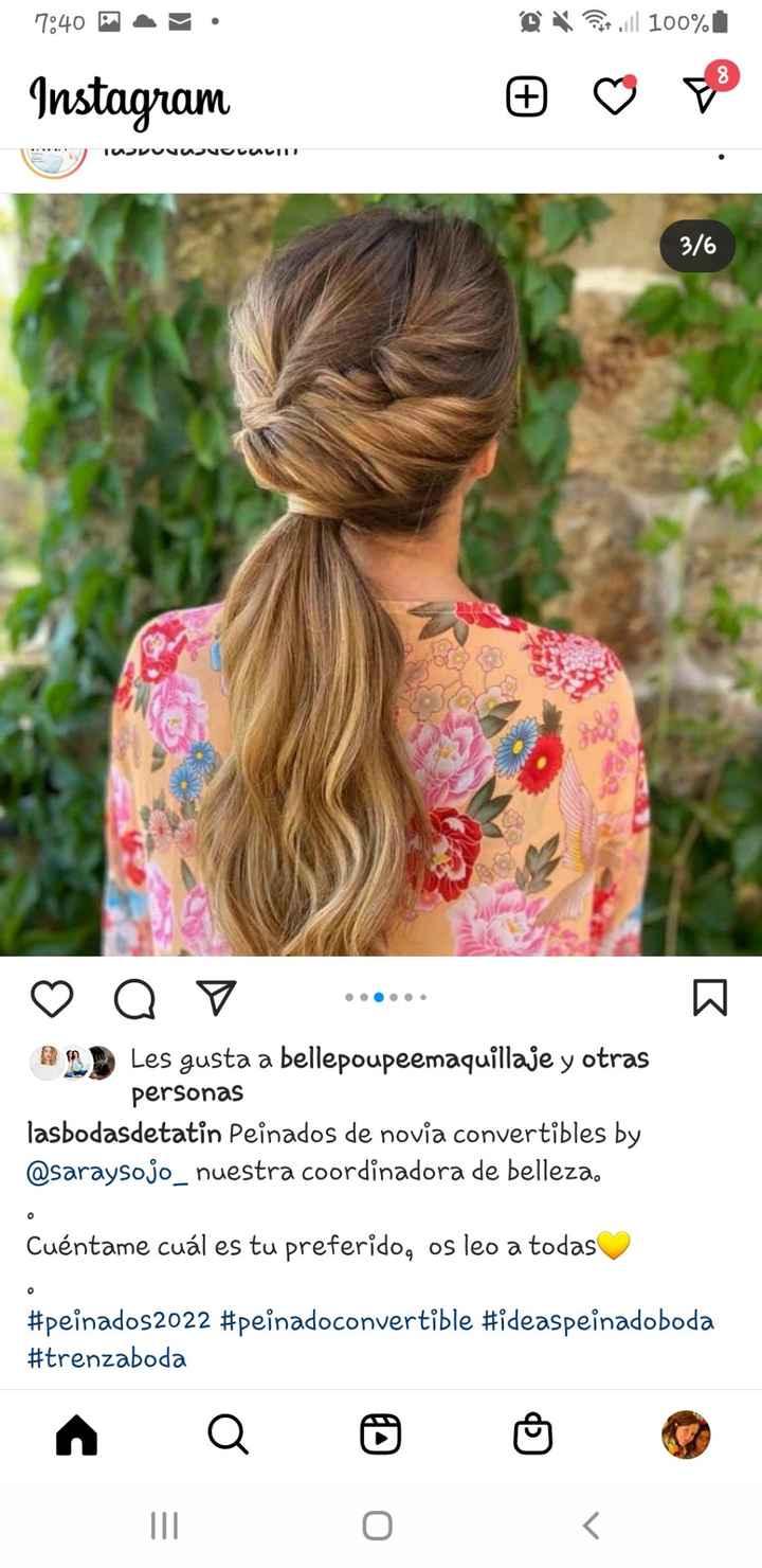 Peinado - 5