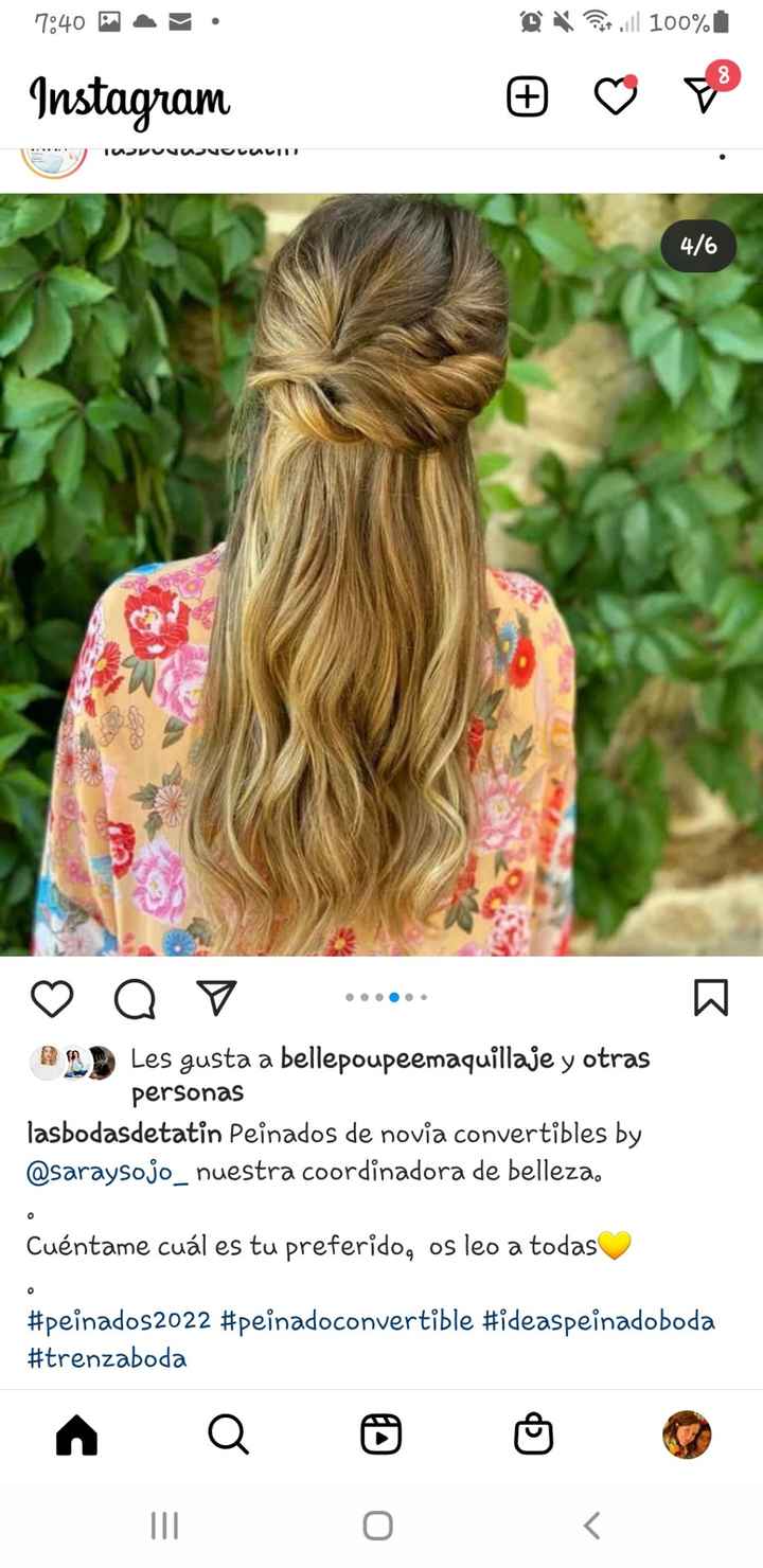 Peinado - 6