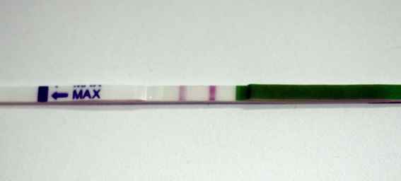 TO  7 DPO